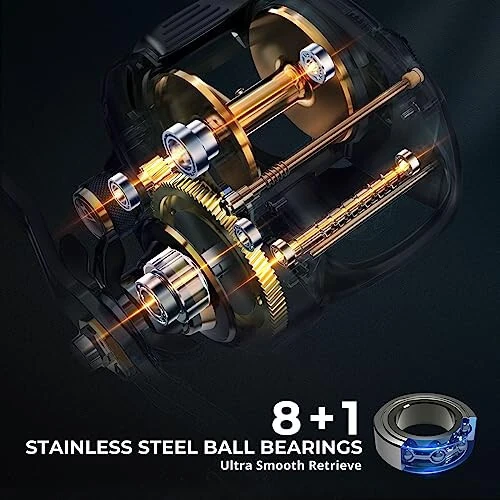 Piscifun Alijoz 400 Baitcasting Baliqchilik Makarası, 38Lbs Maksimal Tormoz Alyuminiy Qotishma Ramkali Baitcasting Makarası, 6.6:1/8.1:1 Tishli Nisbat Tanlovlari bilan Mavjud, Shirin Suv va Sho'r Suv Past Profilli Otish Makarası Muski Uchun - 11