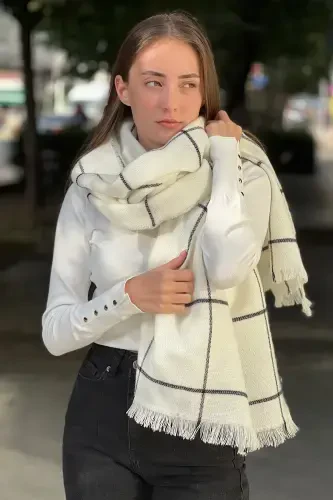 Plaid Fine Striped Scarf-white plaid - 1
