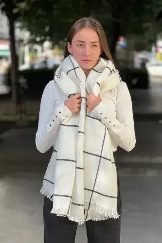 Plaid Fine Striped Scarf-white plaid - 2