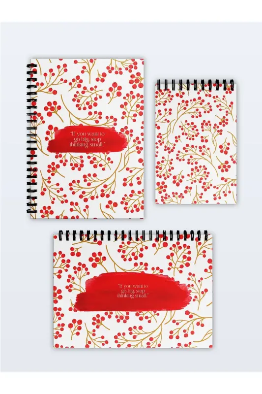 Planning Set of 3, Daily Planner, Weekly Planner, To-Do - Special Agenda Set-Red - FOBINOTE