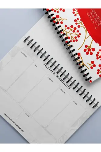 Planning Set of 3, Daily Planner, Weekly Planner, To-Do - Special Agenda Set-Red - 3