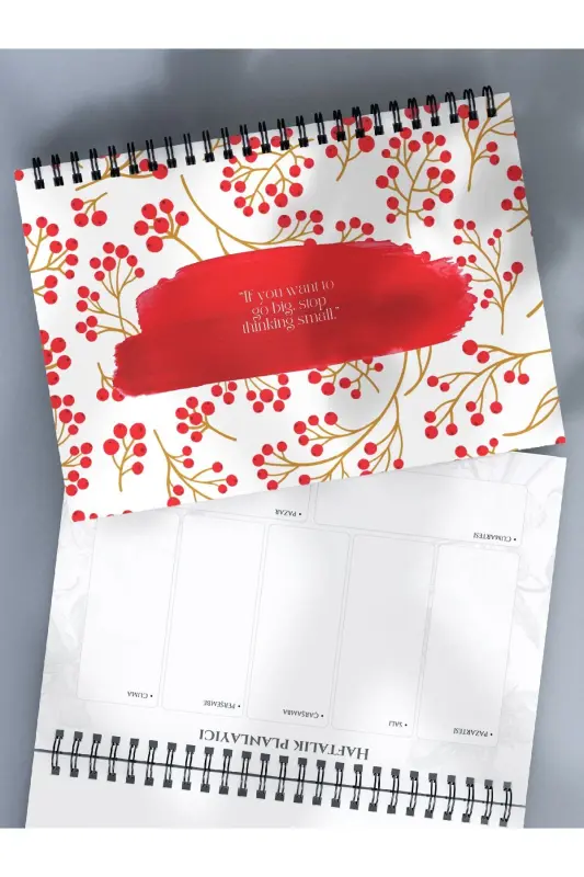 Planning Set of 3, Daily Planner, Weekly Planner, To-Do - Special Agenda Set-Red - 6