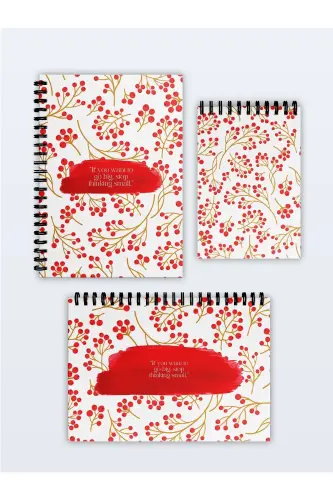 Planning Set of 3, Daily Planner, Weekly Planner, To-Do - Special Agenda Set-Red 