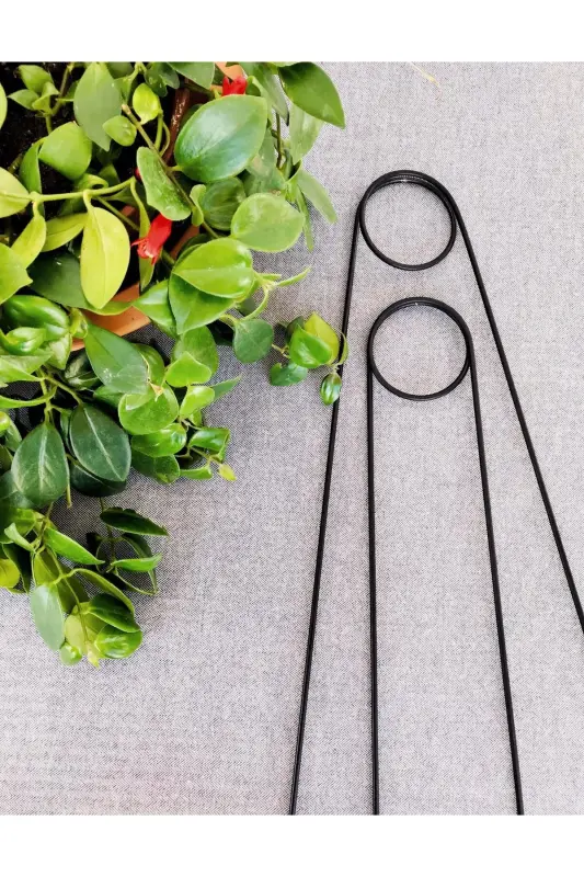 Plant Support Stick / Black Metal Hook Model 65 Cm / 1 Piece / Climbing Ladder - 4
