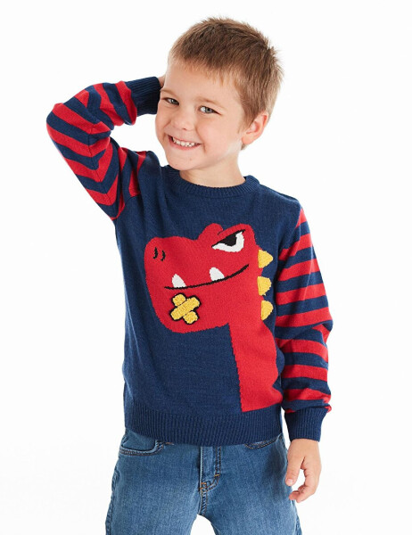 Playful Dino Boys Sweater - 16