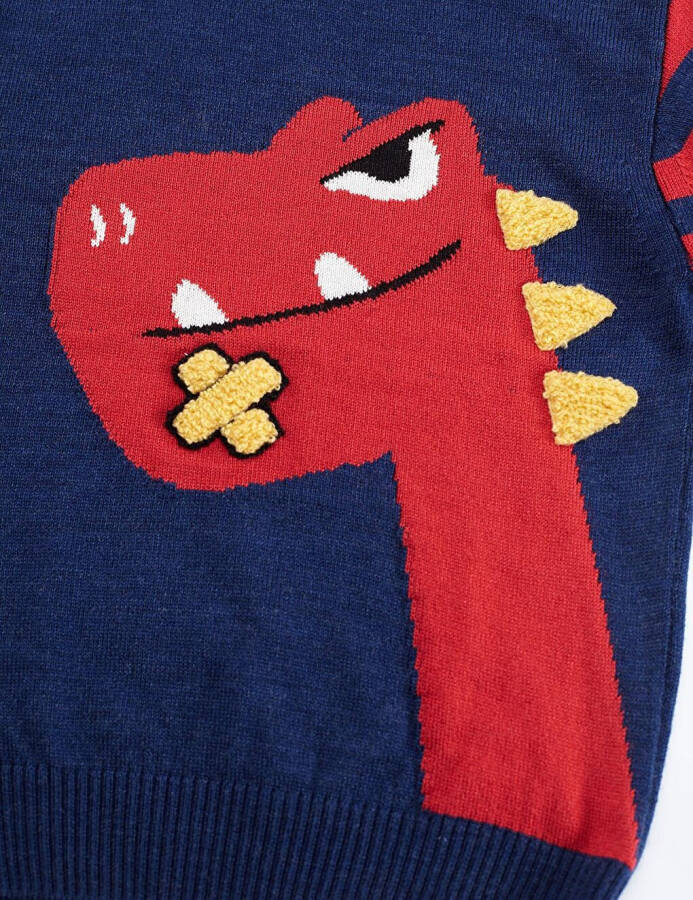 Playful Dino Boys Sweater - 20