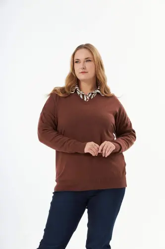 Plus Size Cashmere Blend V-Neck Knit Sweater Brown - 1