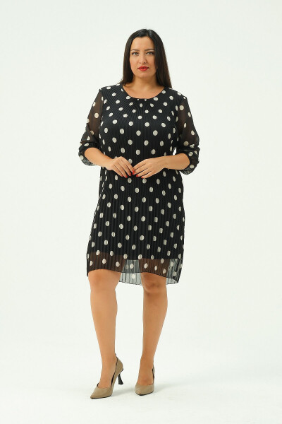Plus Size Pleated Chiffon Dress - SHAHIQA (1)