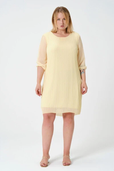 Plus Size Pleated Chiffon Dress - Modazone