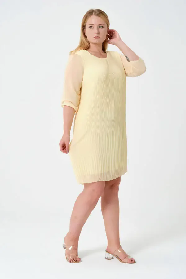 Plus Size Pleated Chiffon Dress - 4
