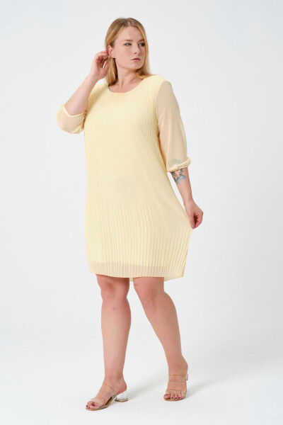 Plus Size Pleated Chiffon Dress - 3