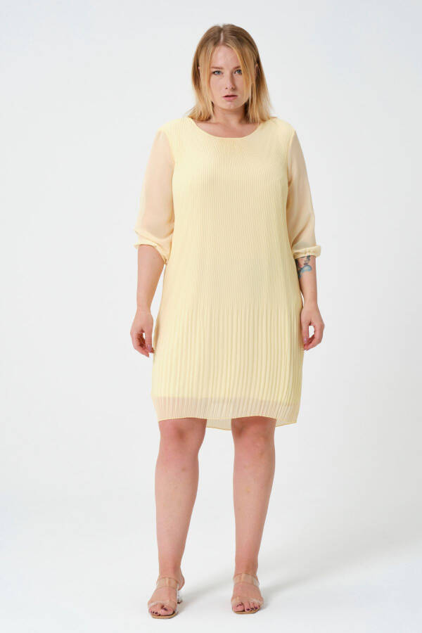 Plus Size Pleated Chiffon Dress - 1