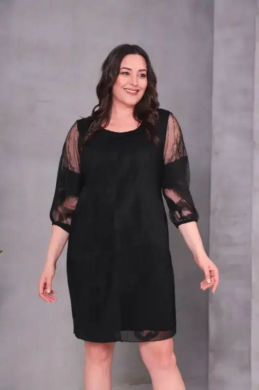 Plus Size Pleated Chiffon Dress-BLACK TULLE - 1