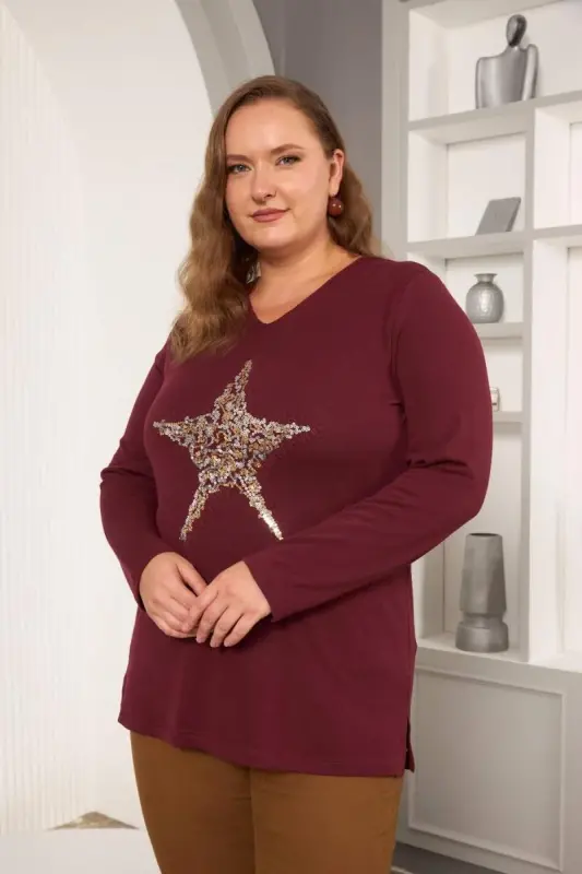 Plus Size Star sequin embroidery detail blouse burgundy - 2