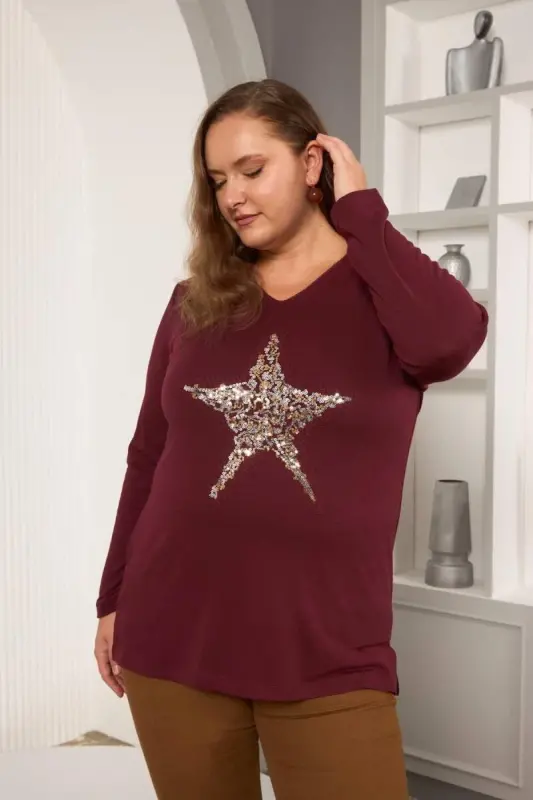 Plus Size Star sequin embroidery detail blouse burgundy - 3