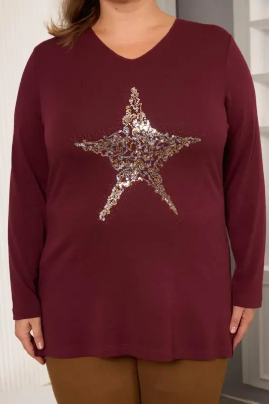 Plus Size Star sequin embroidery detail blouse burgundy - 4
