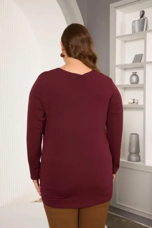 Plus Size Star sequin embroidery detail blouse burgundy - 6