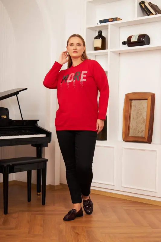 Plus Size Stone Washed Sweatshirt Red - 2