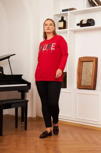 Plus Size Stone Washed Sweatshirt Red - 6
