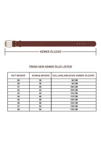Пояс безопасности из натуральной кожи Special Security Belt 4,5 см - TREND DERI (1)