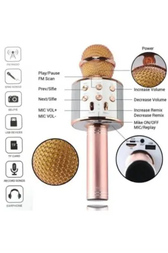 Polygold Ws 858 Blutooth Karaoke - pembe ,beyaz - HANDHELD (1)