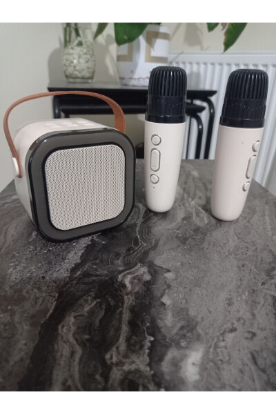 Portable Bluetooth karaoke speaker - 1