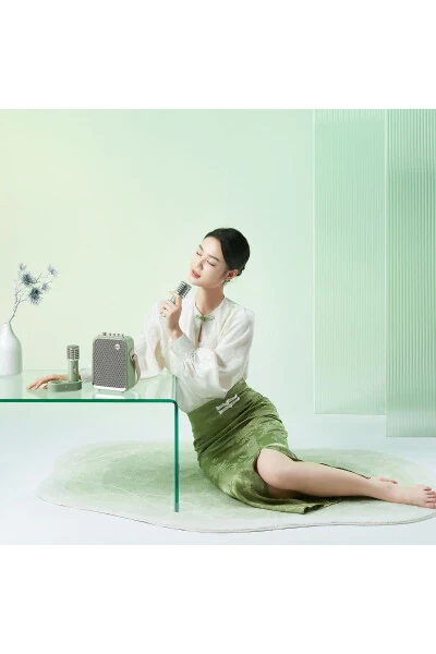 Портативная Bluetooth-колонка SongBird-HQ с двумя караоке-микрофонами, 6 звуковыми эффектами и мощностью 50 Вт. - 6