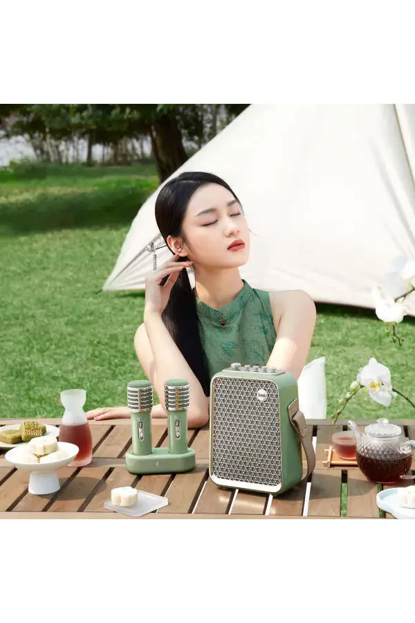 Портативная Bluetooth-колонка SongBird-HQ с двумя караоке-микрофонами, 6 звуковыми эффектами и мощностью 50 Вт. - 8