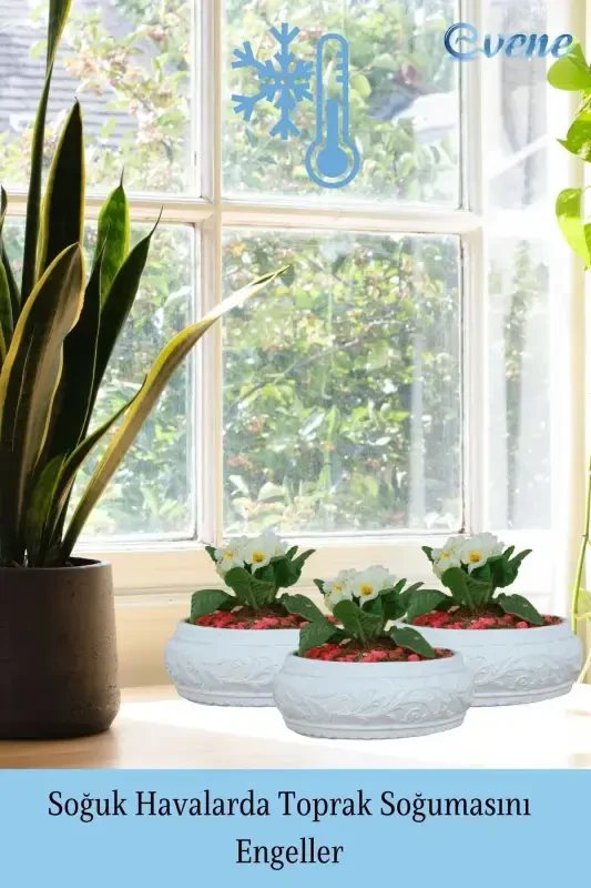 Pot Large Pot Flower Pot Large Size Pot Living Room Pot Model 5 White Pot-White - 5