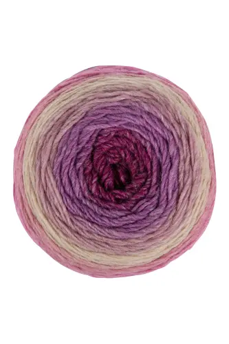 Premium Cake Hand Knitting Yarn Shawl Blouse Accessory Yarn Marbled Yarn-565 - 2