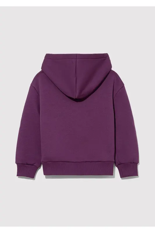 Printed Purple Sweatshirt 7s10060-70577 - 3