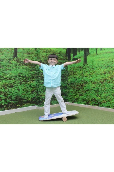 Printed Wooden Balance Board - WUDIE (1)