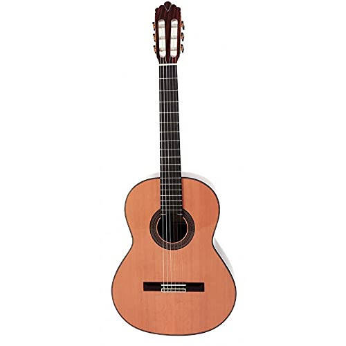 Prodipe 6 Telli Klasik Gitar (SOLOIST 900) - 1