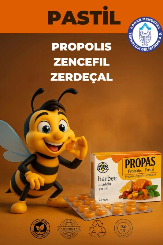 Propolis Zencefil Zerdaçal Pastil 16’lı Boğaz Rahatlatıcı - Harbee Propas - 1