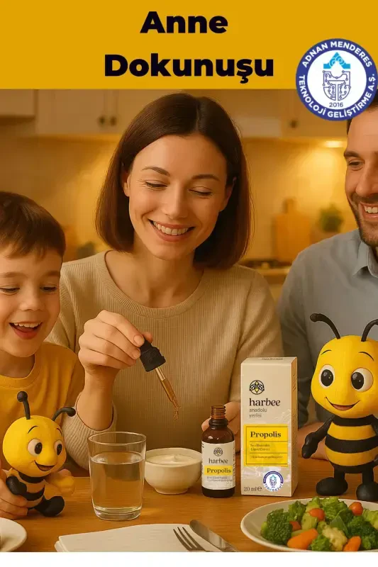 Propolis Drops | 30% Propolis - 3