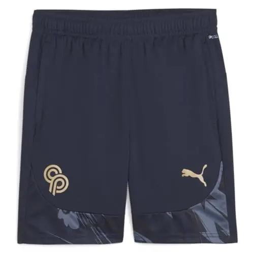 PUMA erkaklar uchun Christian Pulisic Training 7