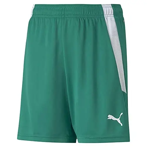 Puma Kids' Teamliga Shorts - PUMA