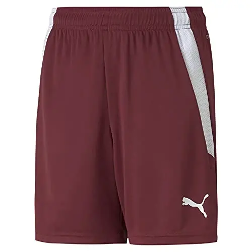 Puma Kids' Teamliga Shorts 