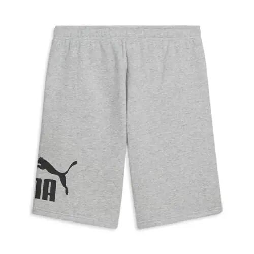 Puma Mens Big Logo Fleece 10