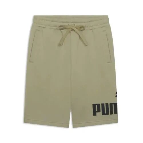 Puma Mens Big Logo Fleece 10