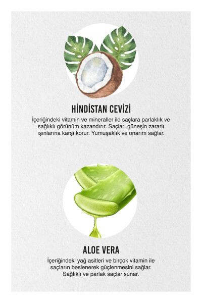 Pure Hindistan Cevizi & Aloe Vera Boyalı Saçlara Özel Renk Koruyucu Duş Öncesi Maske - 50ml - vegan - 7