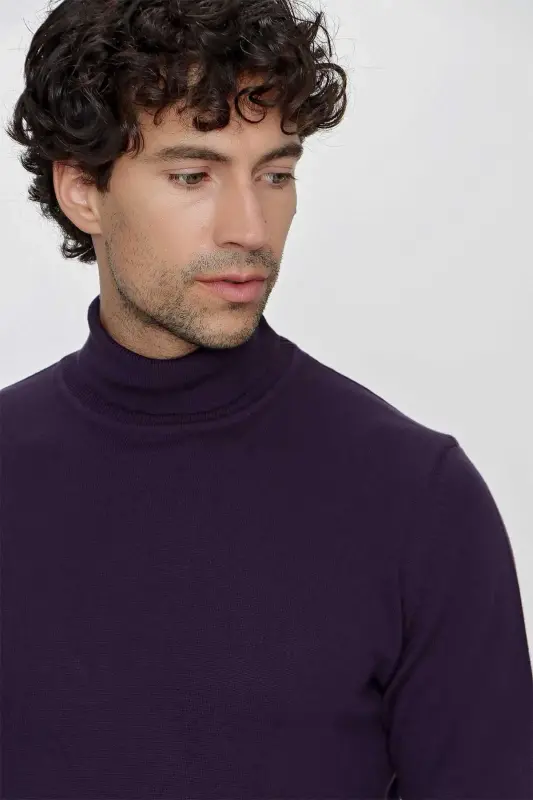 Purple Basic Dynamic Fit Comfort Fit Turtleneck Knit Sweater - 4