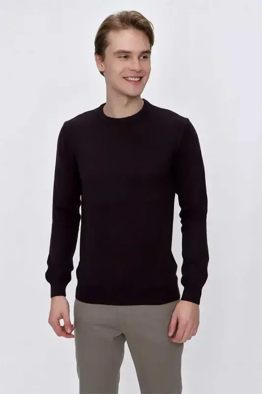 Purple Basic Dynamic Fit Relaxed Fit Crew Neck Knit Sweater - 1