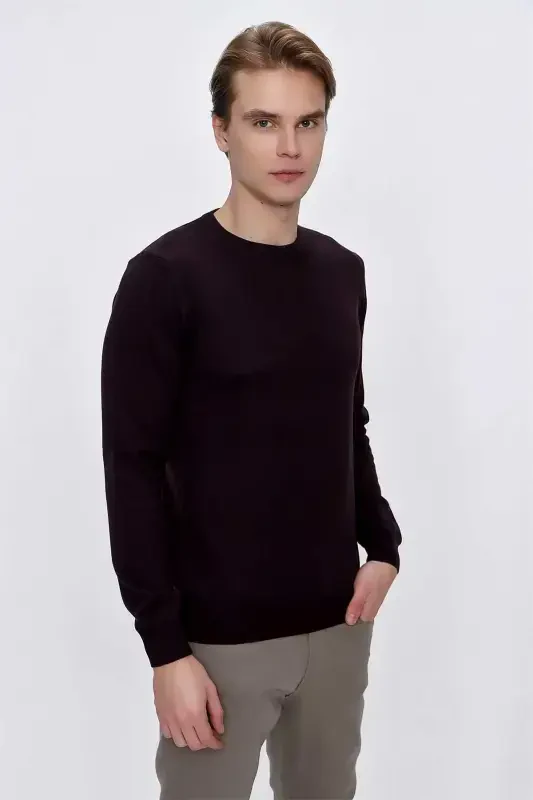 Purple Basic Dynamic Fit Relaxed Fit Crew Neck Knit Sweater - 2
