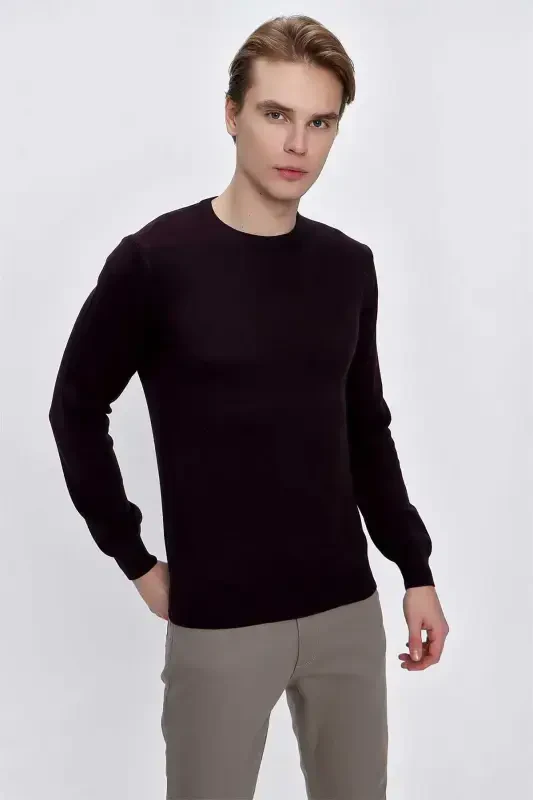 Purple Basic Dynamic Fit Relaxed Fit Crew Neck Knit Sweater - 3