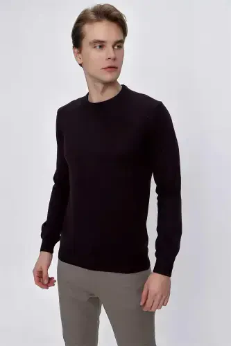Purple Basic Dynamic Fit Relaxed Fit Crew Neck Knit Sweater - 4