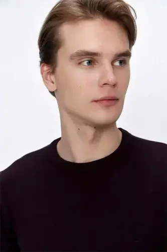 Purple Basic Dynamic Fit Relaxed Fit Crew Neck Knit Sweater - 6