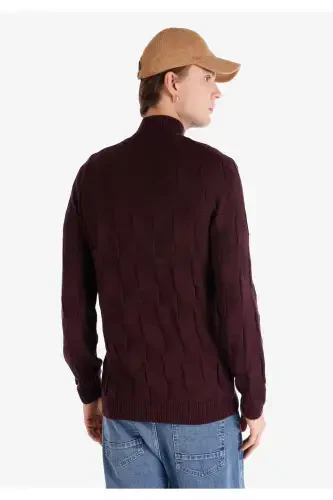 Purple crew neck, regular fit men's sweater. - COLIN’S (1)