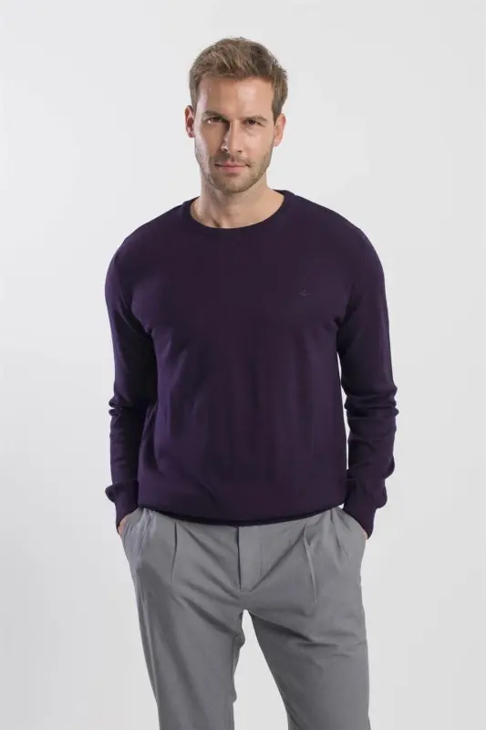 Purple Slim Fit Cycling Collar Knitted Sweater - 2