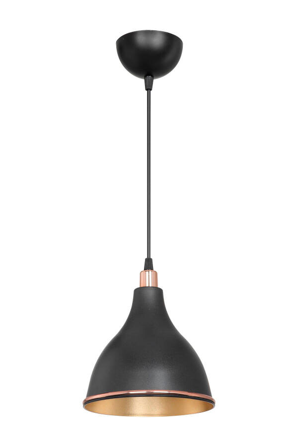 Qora Osiladigan Chandelier Yotoq xonasi Mehmonxona Oshxona Koridor Chiroq Ichki Oltin - 2